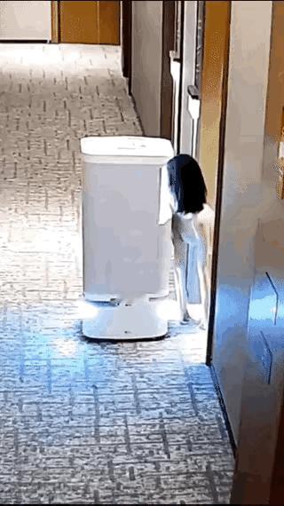女孩爬着取外卖，真的是闪瞎眼啊！从视频里我们可以看到，一个年轻漂亮的短发女孩