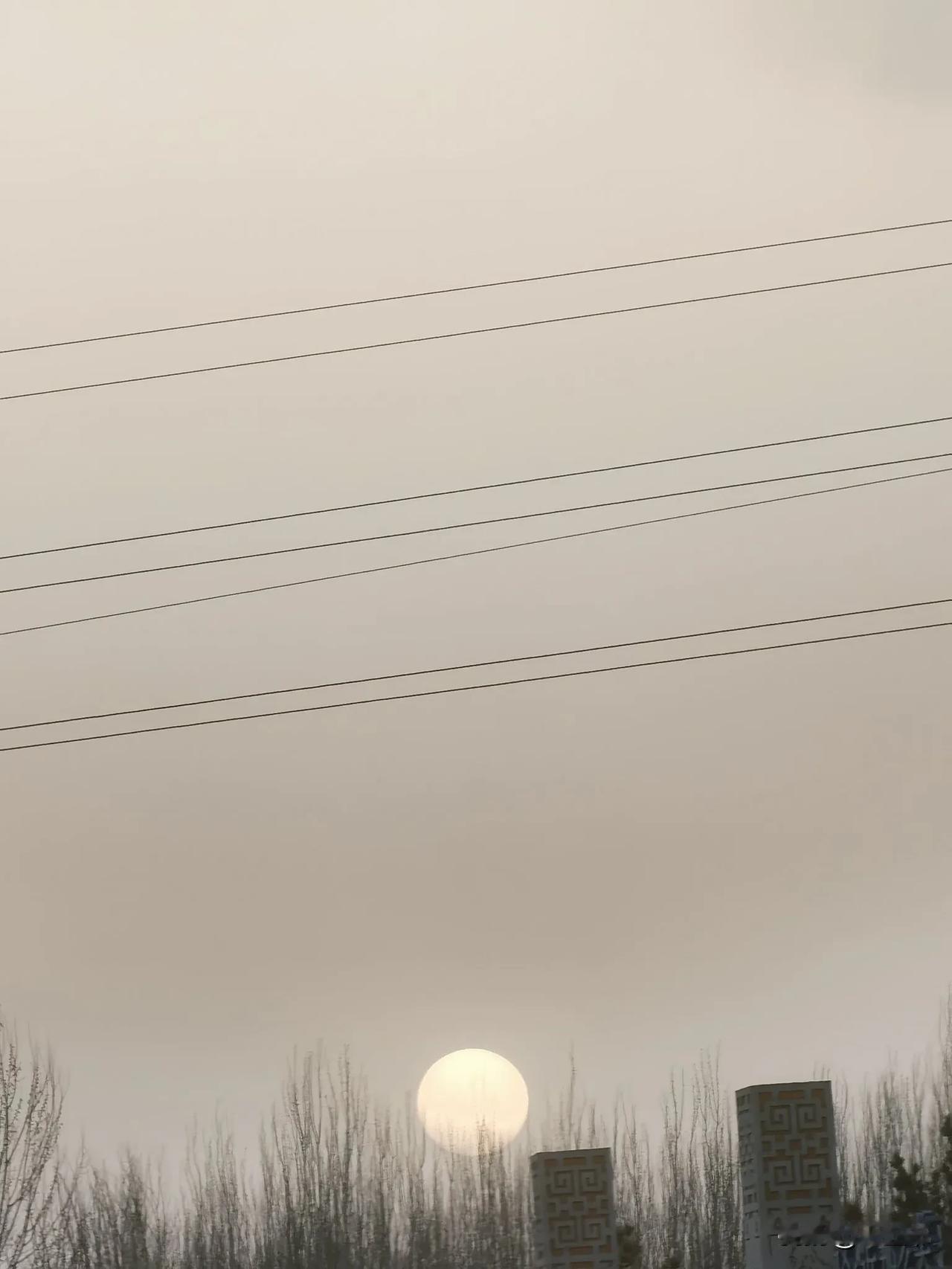 我的宝藏兴趣在人生的长河中，愿你既能如旭日东升，满怀激情与梦想，勇往直前；也能如