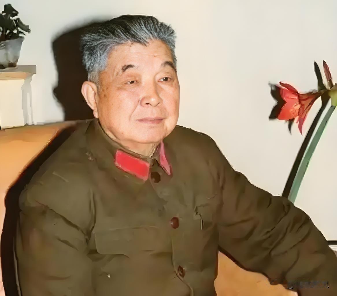 1953年，西康军区司令员刘忠，得知母亲和原配还在世，便携现任妻子回乡，当他看到