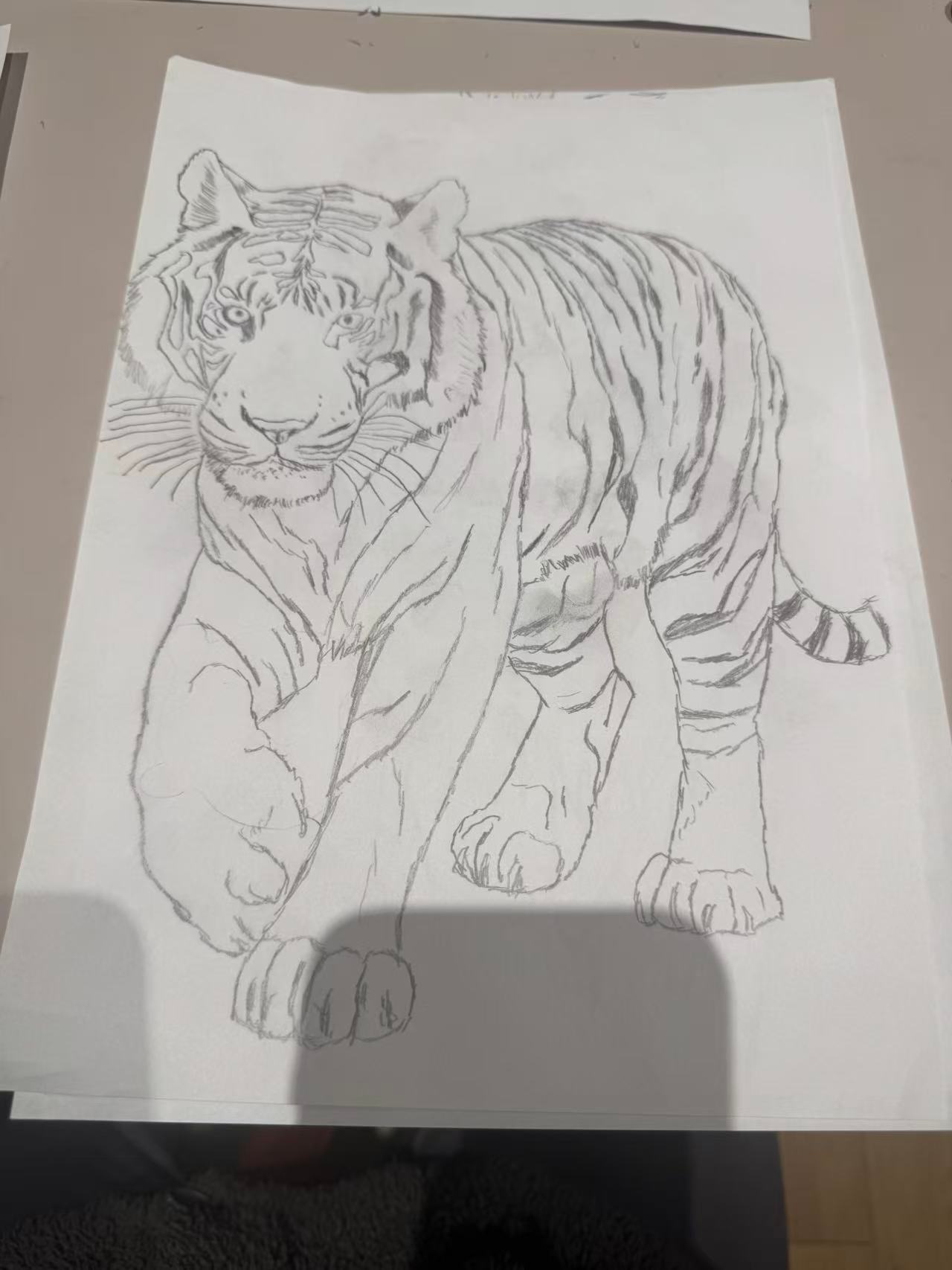 妹妹要做班级的板报，昨天我帮她画个老虎。本来觉得挺好，然后老师非让她涂颜色。涂成