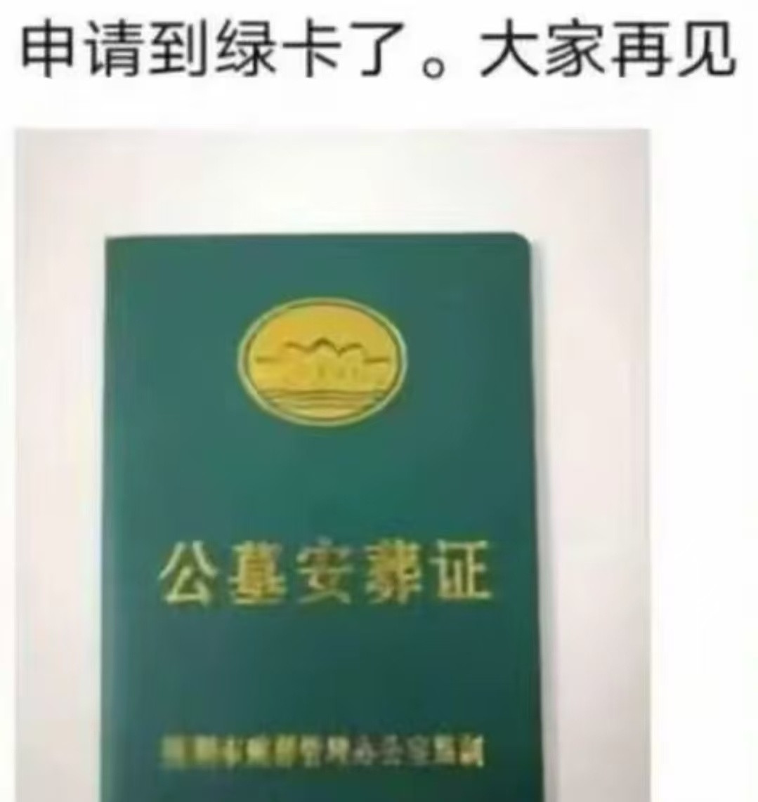 交给我就放心吧