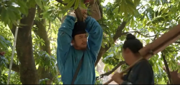 《长安的荔枝》第五集剧情预告来了：老天来，李善德被一群劫匪吊起来了，原因是