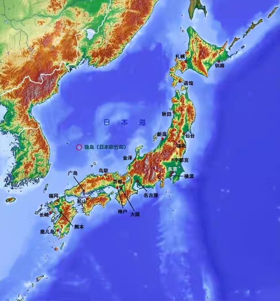 日本的损失大了。为了报复咱们合法的两用物项出口管制，为了阻止咱们发展高端光刻机
