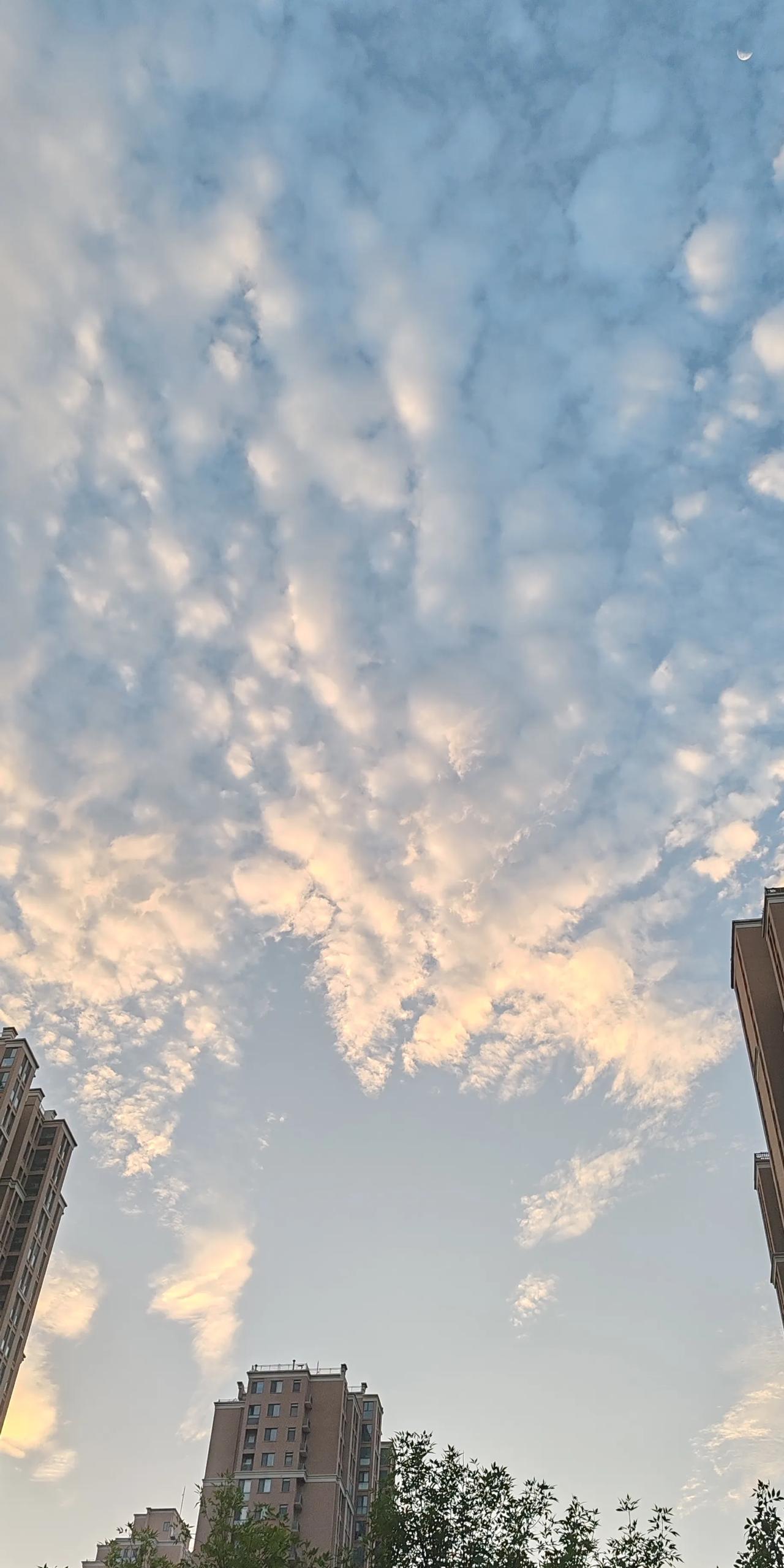 #分享一张今天天空照片#今天早上六点十分的天空…