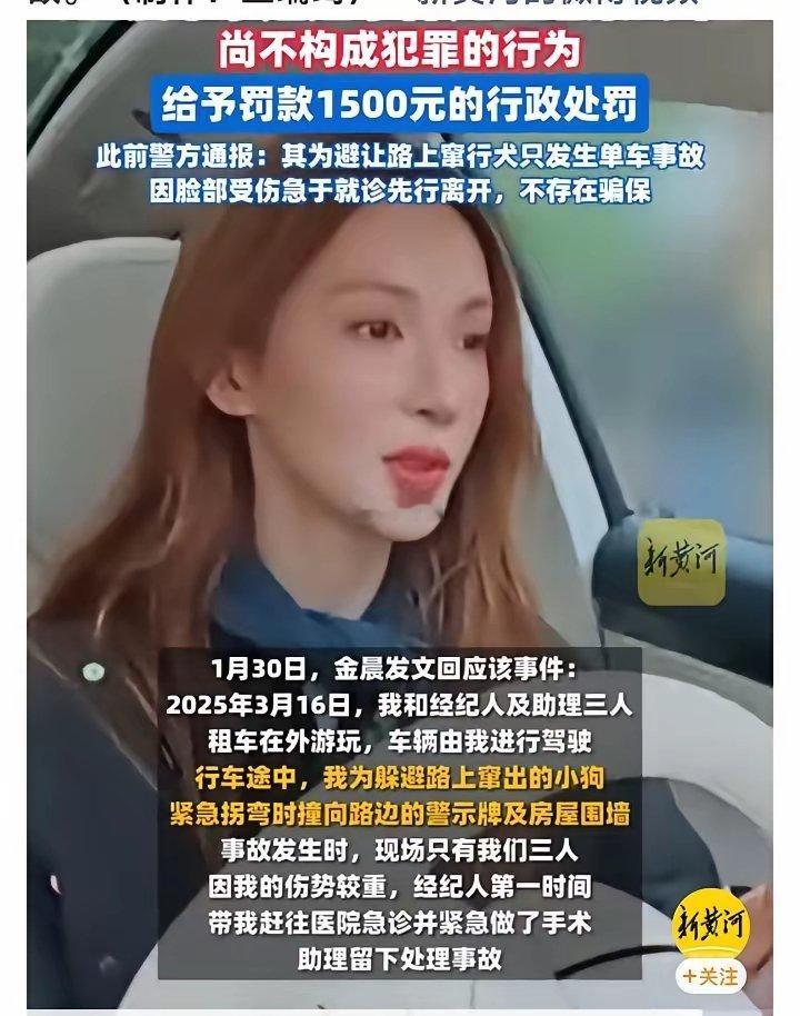 金晨太自负了，大家都快忘了她却又挑起注意，她以为自己被罚1500元就能服众、就能