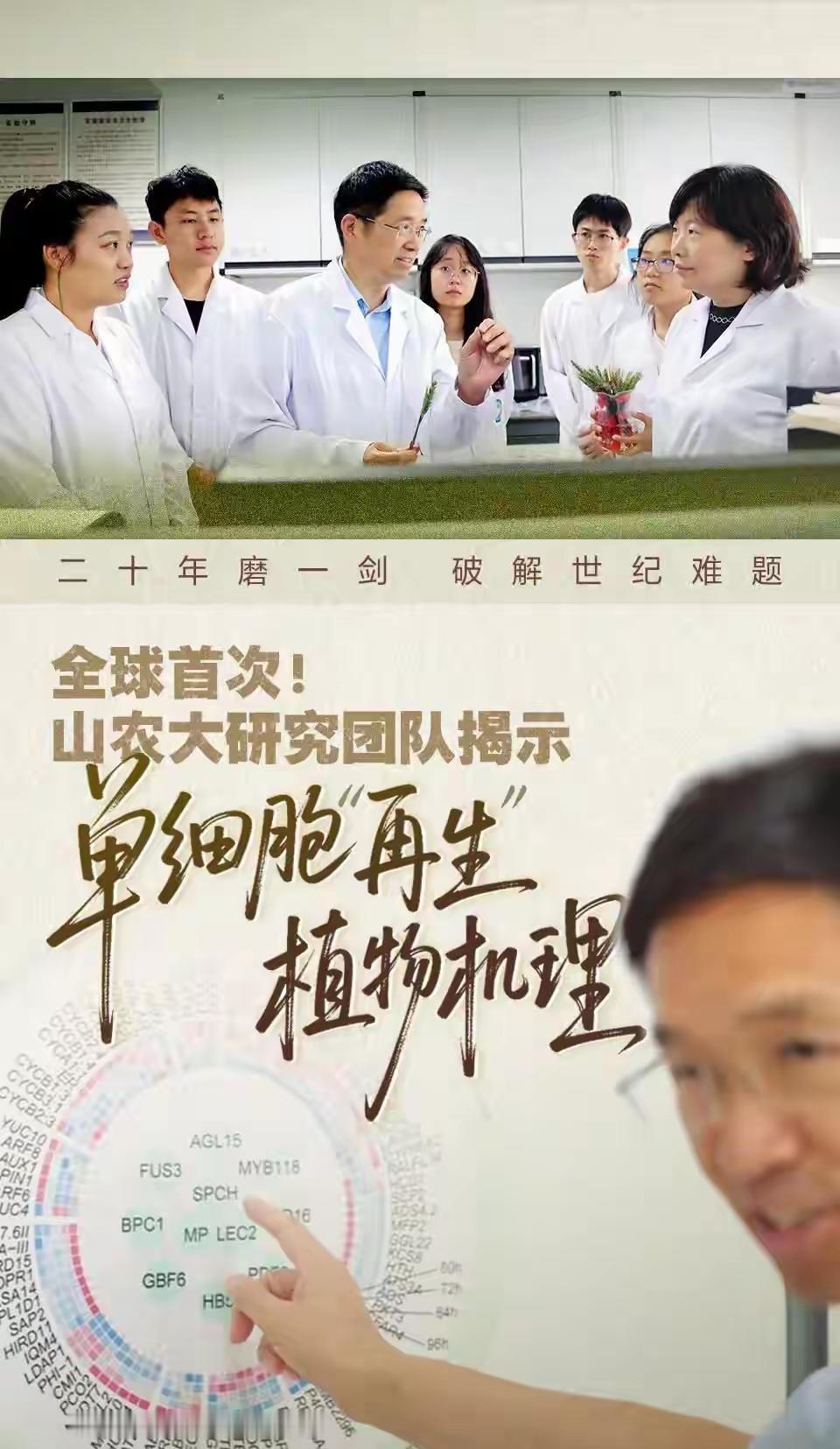 山东农业大学牛逼了，破解植物界百年科研难题，下次双一流稳了。山东农业大学在