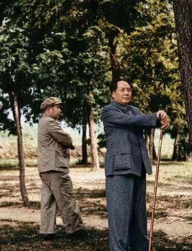 毛主席的这张照片，是1954年4月5日，在北京昌平的明十三陵拍摄的，这里绿树成荫