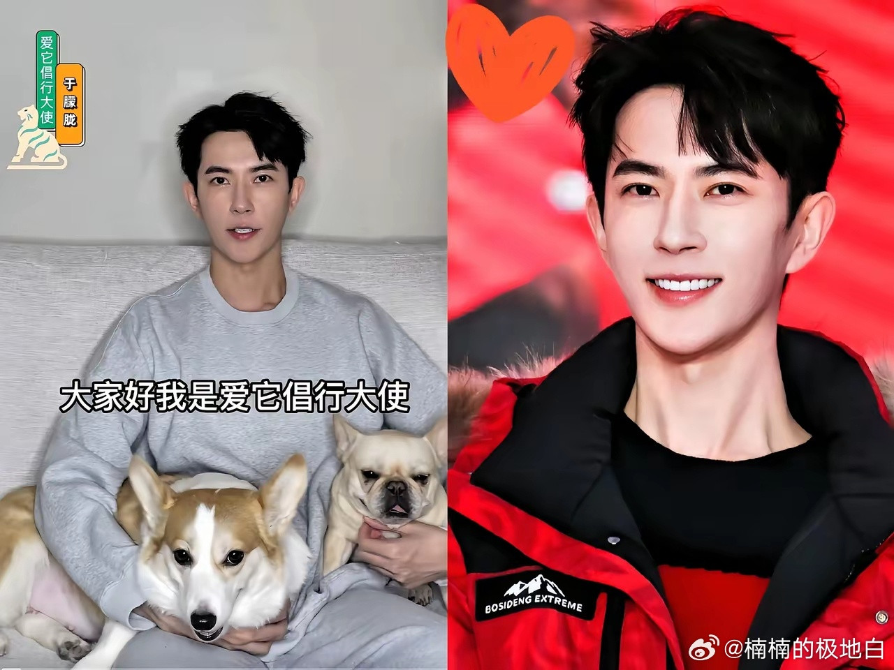 于朦胧走了，​他最放心不下的，​除了生他养他的父母，就是那两只养了6年，当家人
