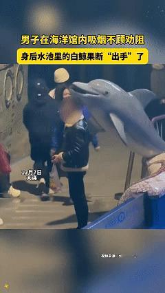 笑不活了！近日大连，男子在海洋馆内游玩，突然拿出根香烟，自顾自的抽了起来，旁边的