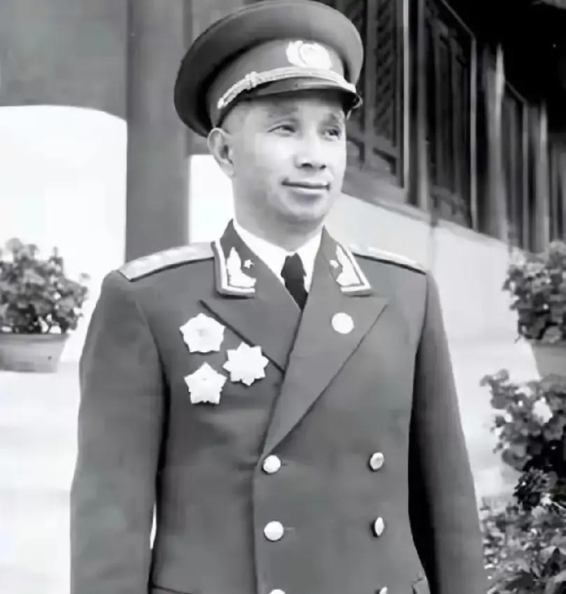 湖南乡下老太太正在喂鸡，突然来了一队人：您儿子当大司令了，接您去南京享福梁完英手里的谷子洒了一地，鸡