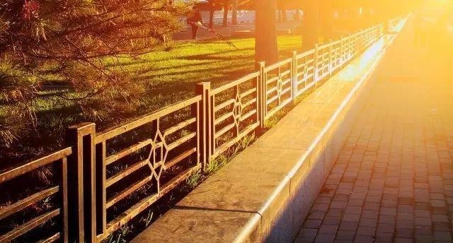 摄影技巧拍建筑、花卉、人像，试试对角线摄影构图很多照片并不模糊，曝光也没有