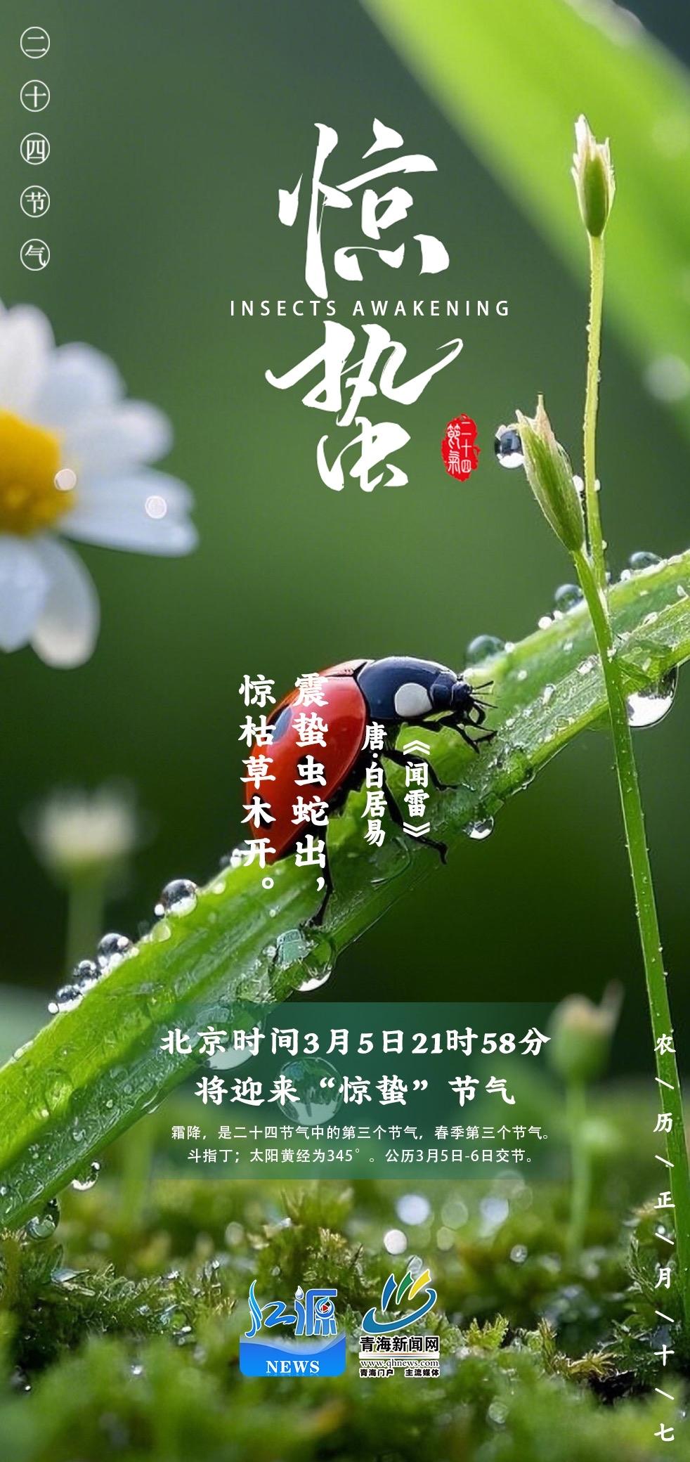 今日惊蛰：别再躺平！一声春雷，叫醒的不只是虫子，更是该翻身的你今天3月5日，