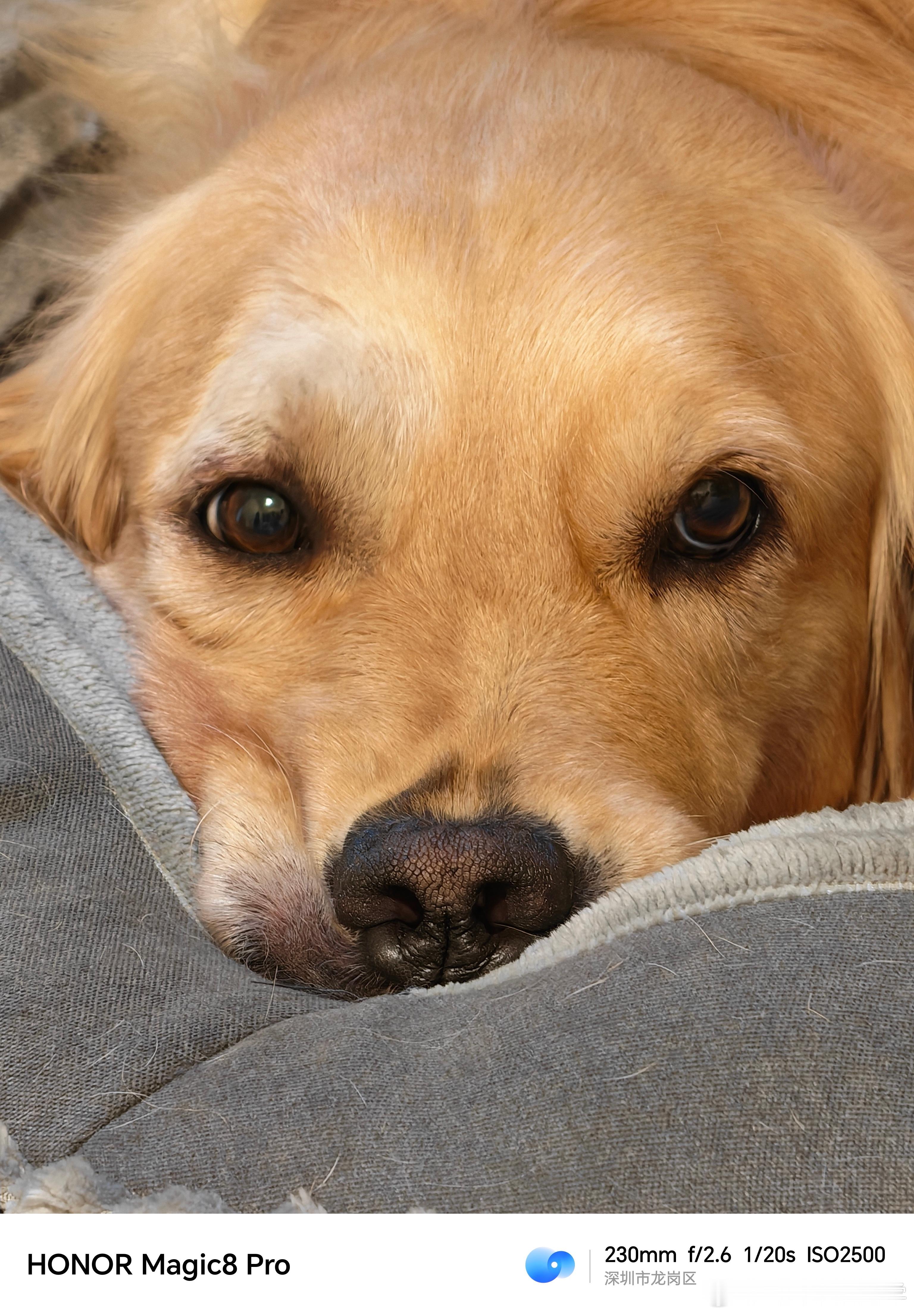 我家崽在荣耀Magic8Pro10倍变焦下的美颜暴击！啊啊啊啊老母亲心都融