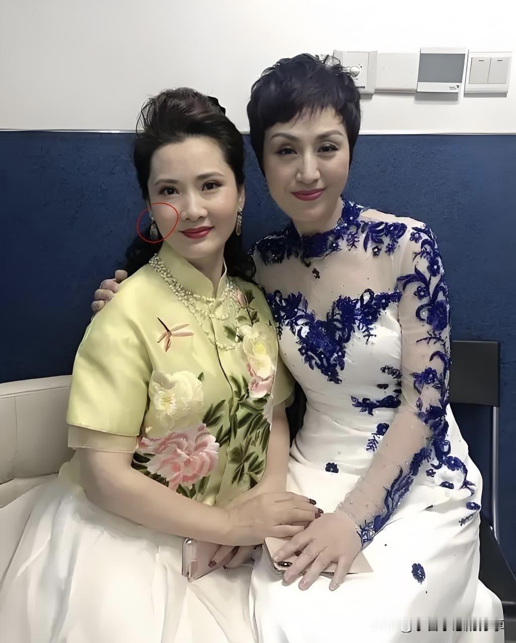 不得不羡慕62岁何赛飞的这个状态了，年龄比史依弘大一些，看起来还要年轻有气质点。