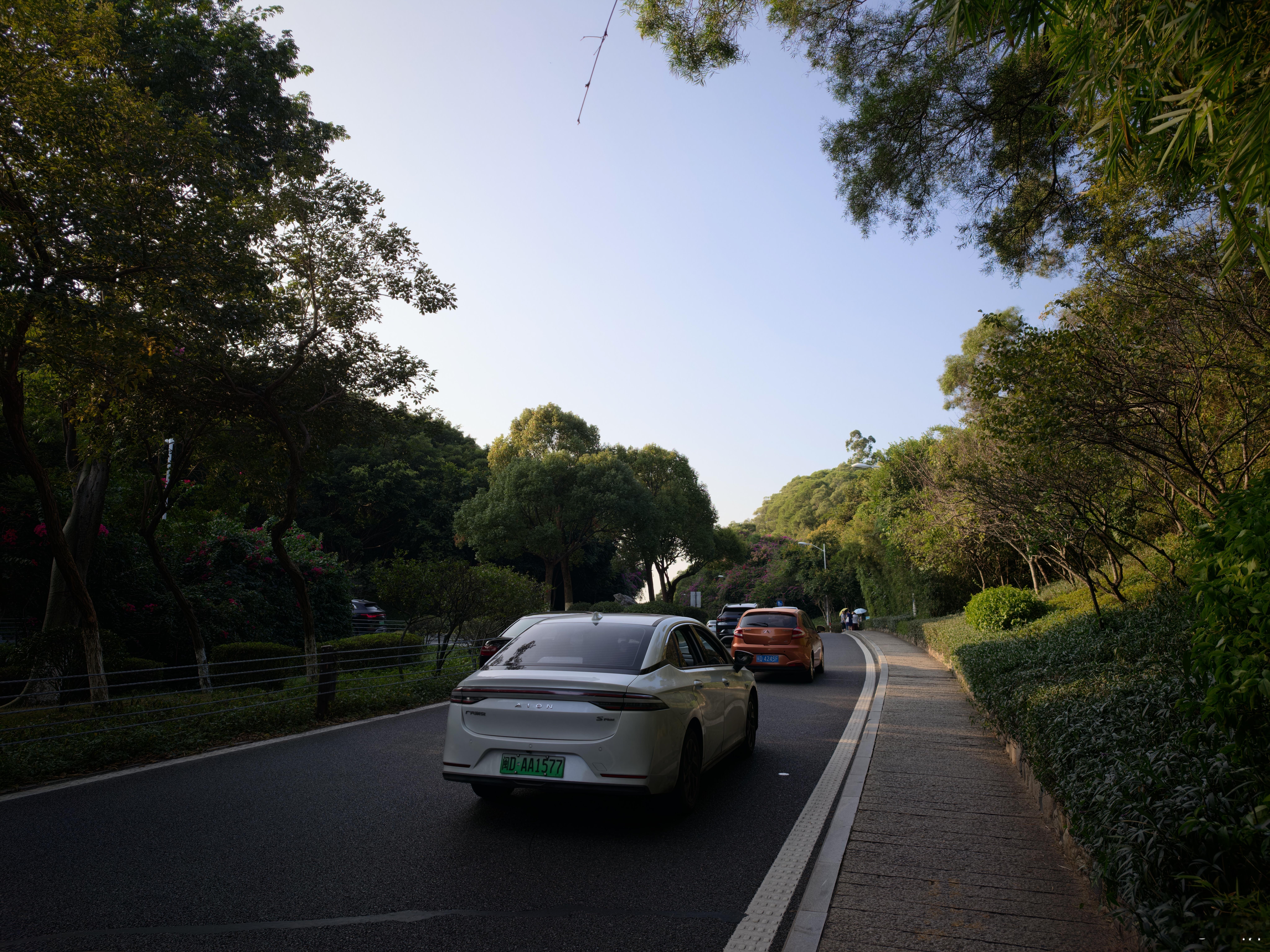 和朋友们来露营啦！周末也太堵了，只找到小路里的一个停车场，其实就是果园入口加个闸