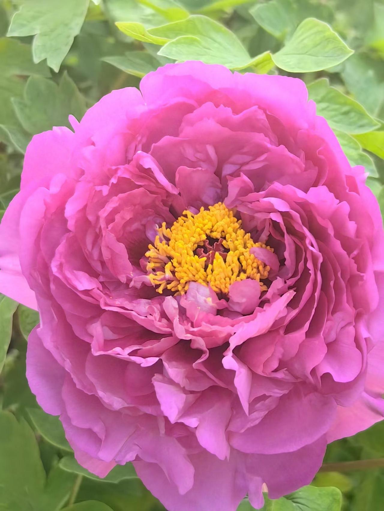 《这才叫真爱》有人说，感情里最洒脱的姿态，是“说散就散”。不纠缠，不回头，干