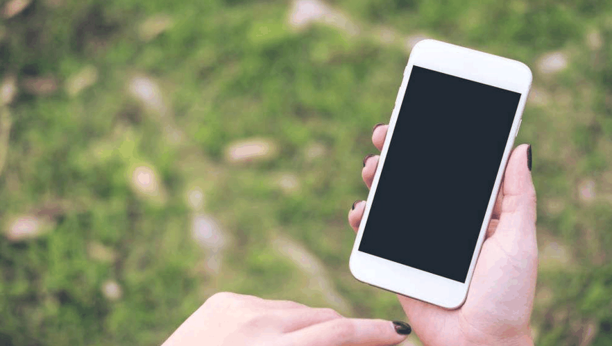 1848441362798304313.jpg?id=0