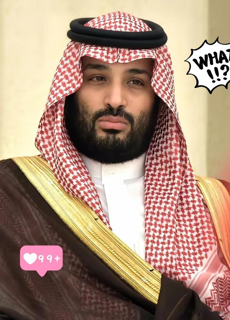 硬气！沙特王储正式拒绝G7峰会邀请，西方彻底没辙了6月11日沙特王储穆罕默德