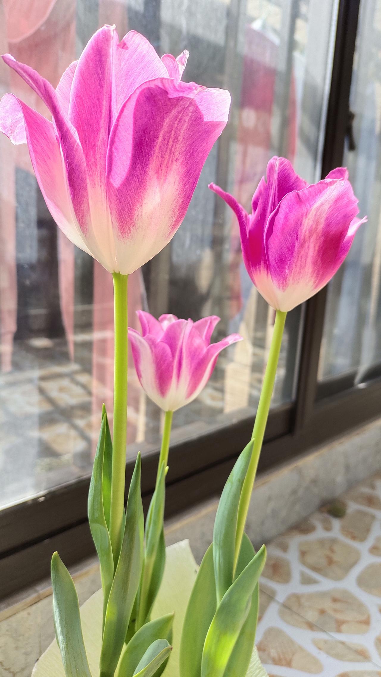 更年期渡劫，遥遥无期。今年48了，从去年开始，月经就不正常。从每个月几乎提前