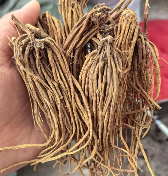 湿热下注久了，再用淫羊藿、菟丝子补肾已经没用了，第一步要清利！你是不是有：