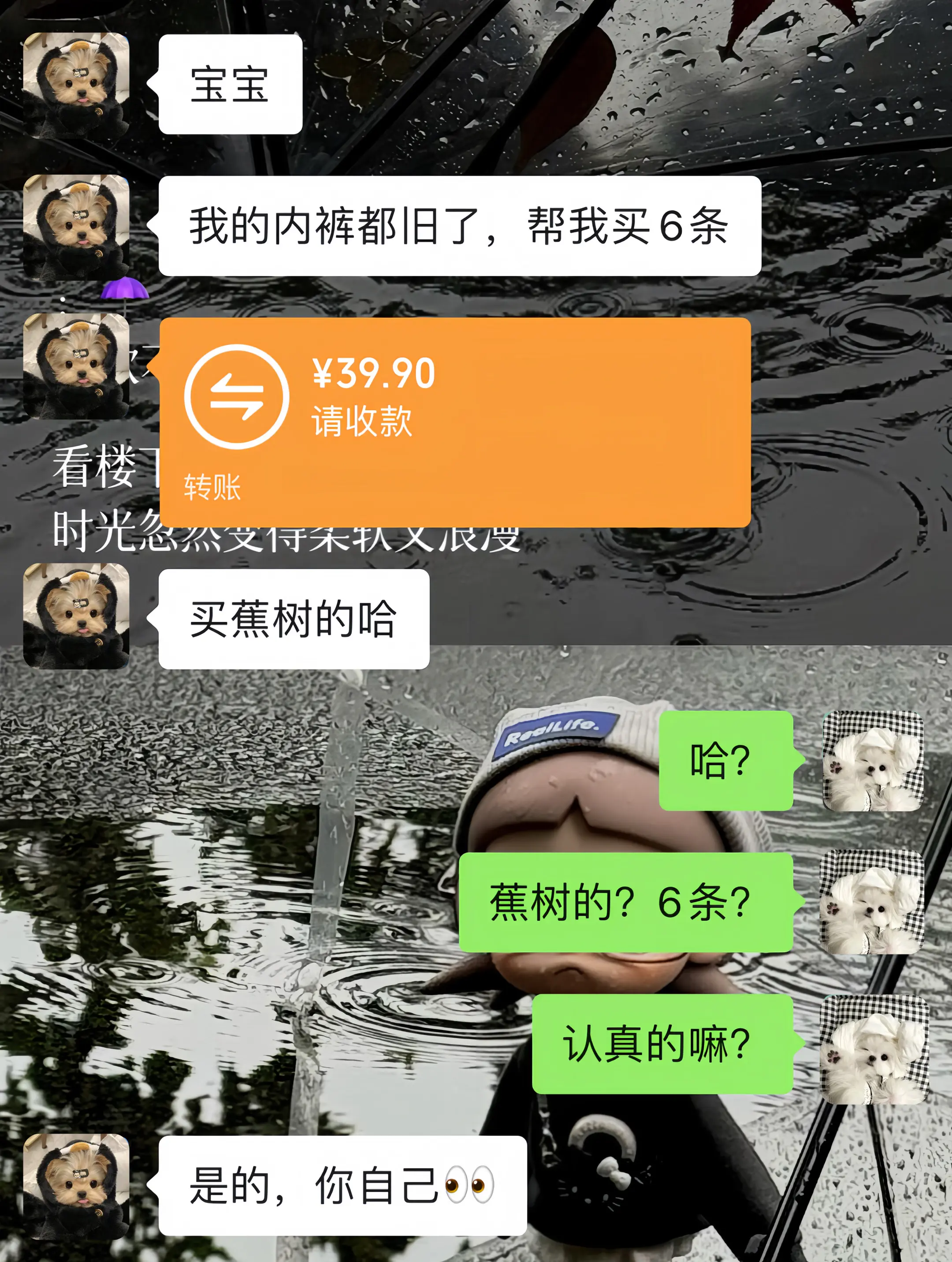 焦树 男生内裤 内裤