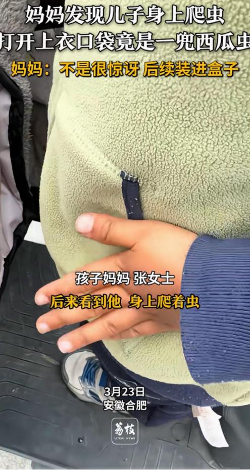 万万没想到！安徽合肥，女子发现孩子衣服上有虫子爬，她过去找了半天，最后掀开衣兜一