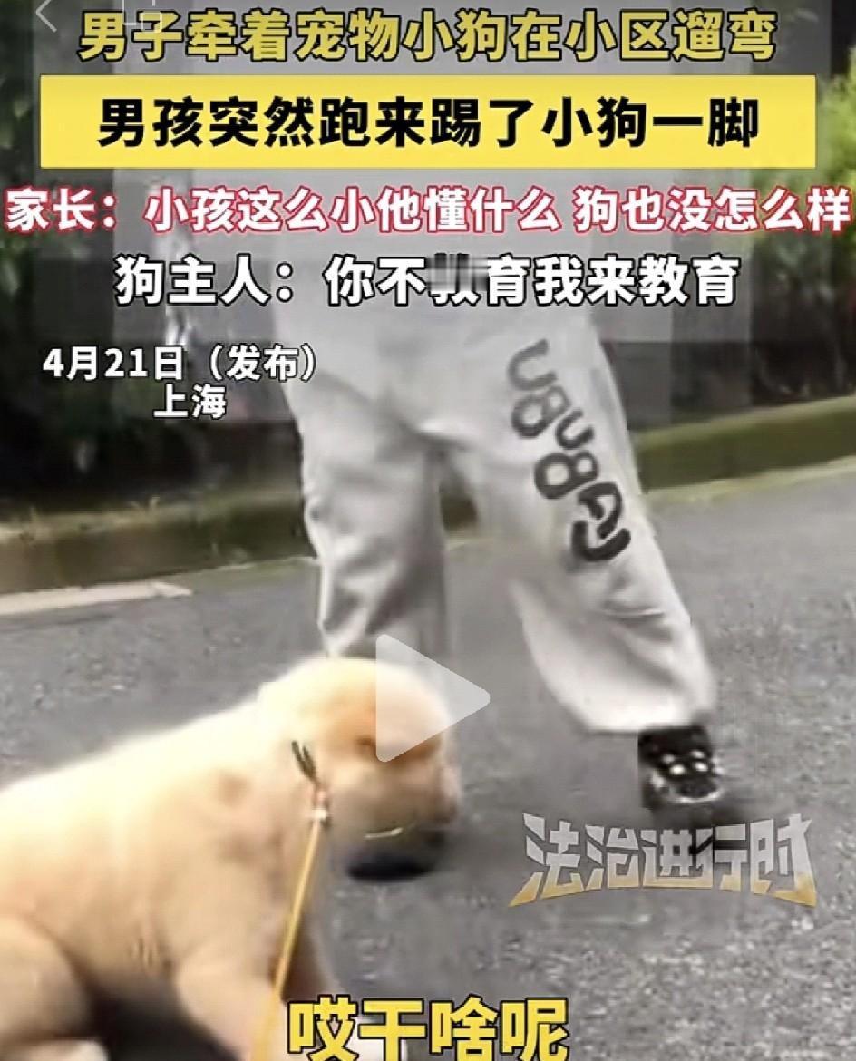 真是让人大跌眼镜！上海某小区里，一个牵着绳、安分守己的毛孩子，突然被飞来一脚踹得