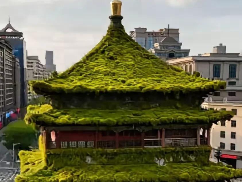 谁说西安天气预报不准？看看现在昨天我写西安迎来长雨季，评论区不少人说，西