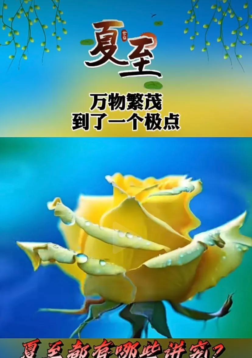 夏日清晨，美好如约而至，愿你幸福安康！“夏至”快乐！