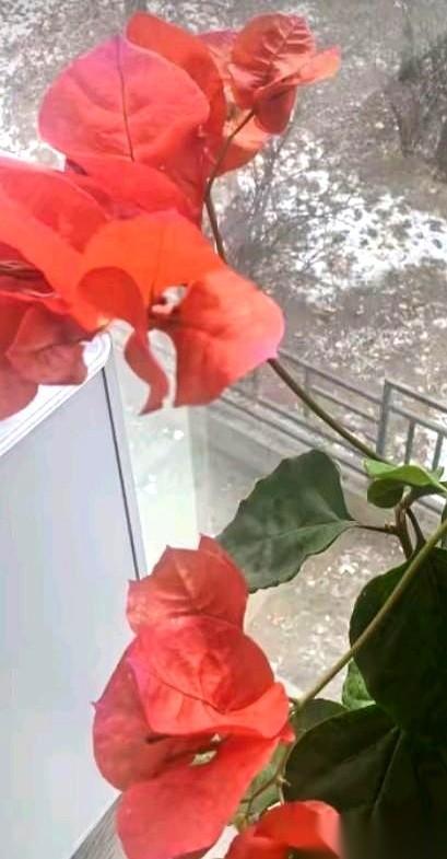 “一年30万。”我把电话挂了，扭头看着饭桌对面的老公，整个屋子安静得只剩下他的