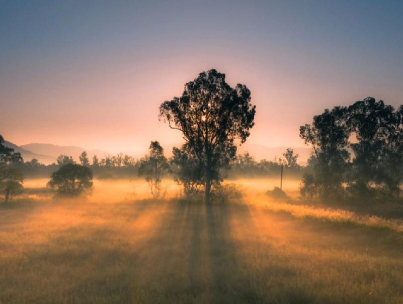 分享一张你在路上拍到的天空吧日出