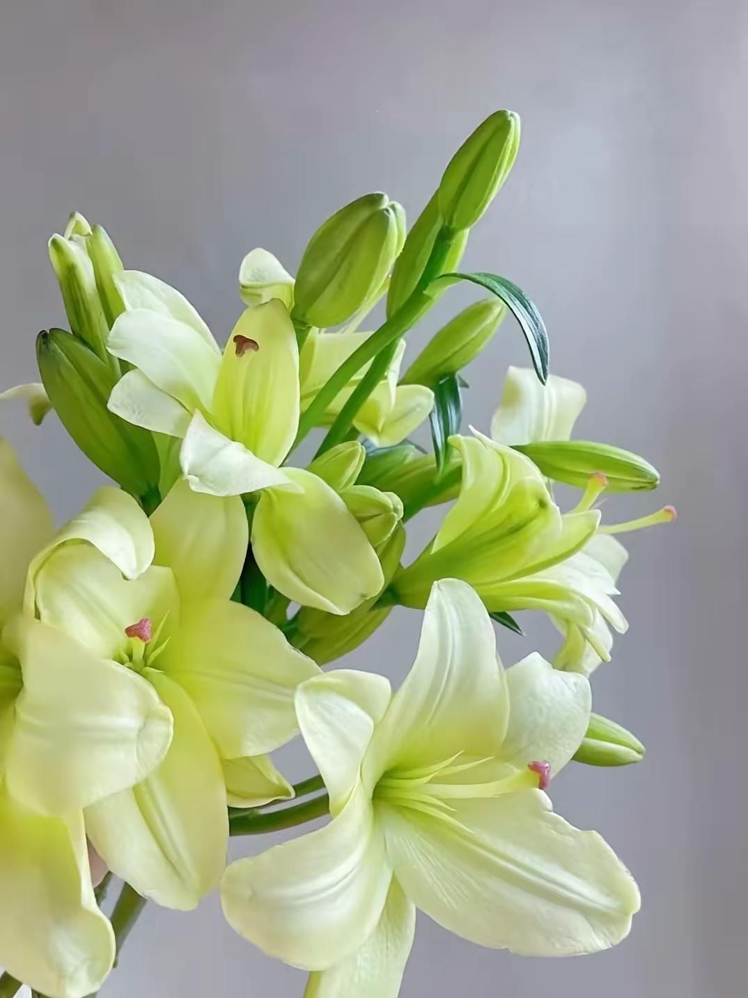 很现实的一段话：“你花丈夫的钱，丈夫要的是你的生育价值；你花父母的钱，父母要的你