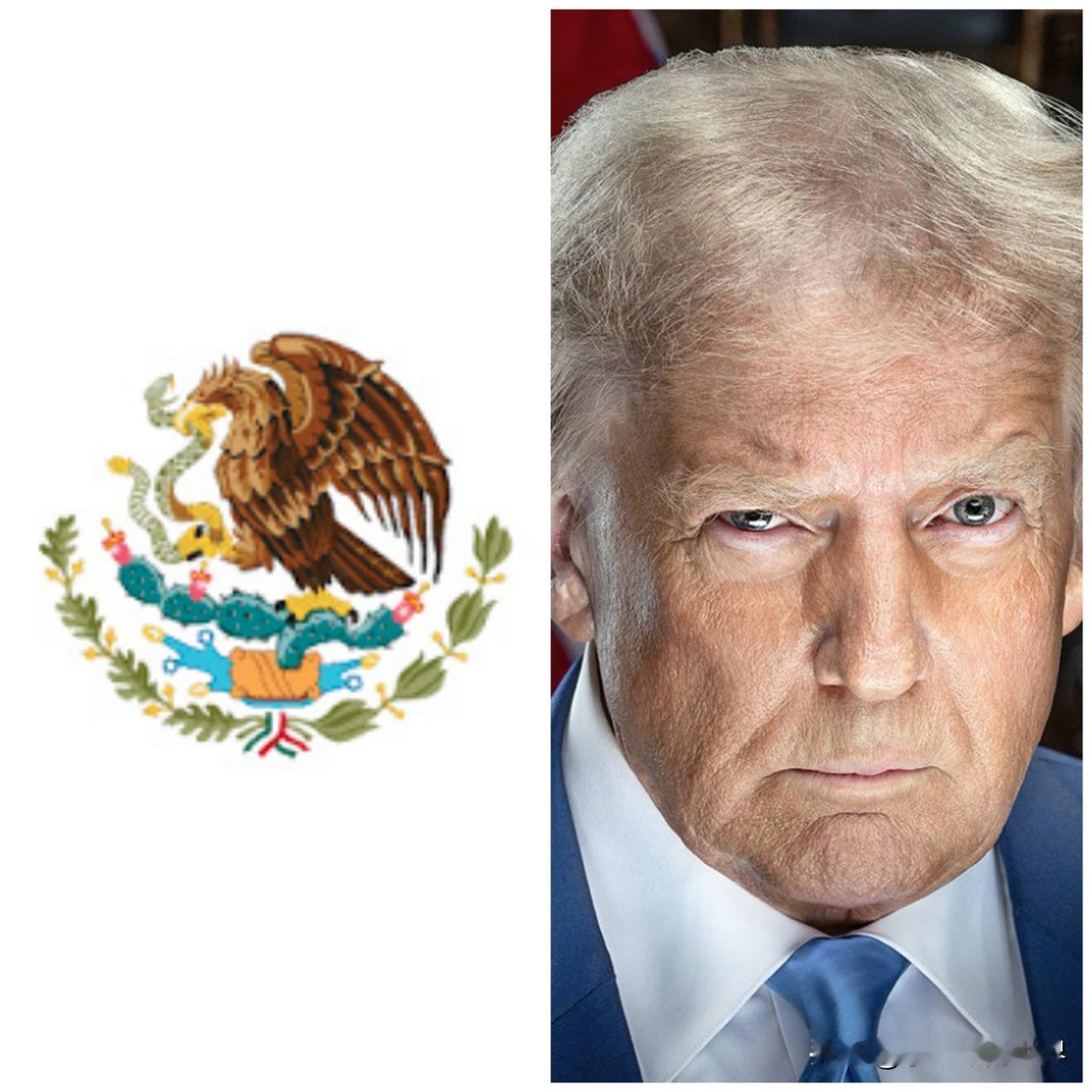 这是抓上瘾了！有消息称，美国可能要对墨西哥下手。特朗普表示，克劳迪娅·希