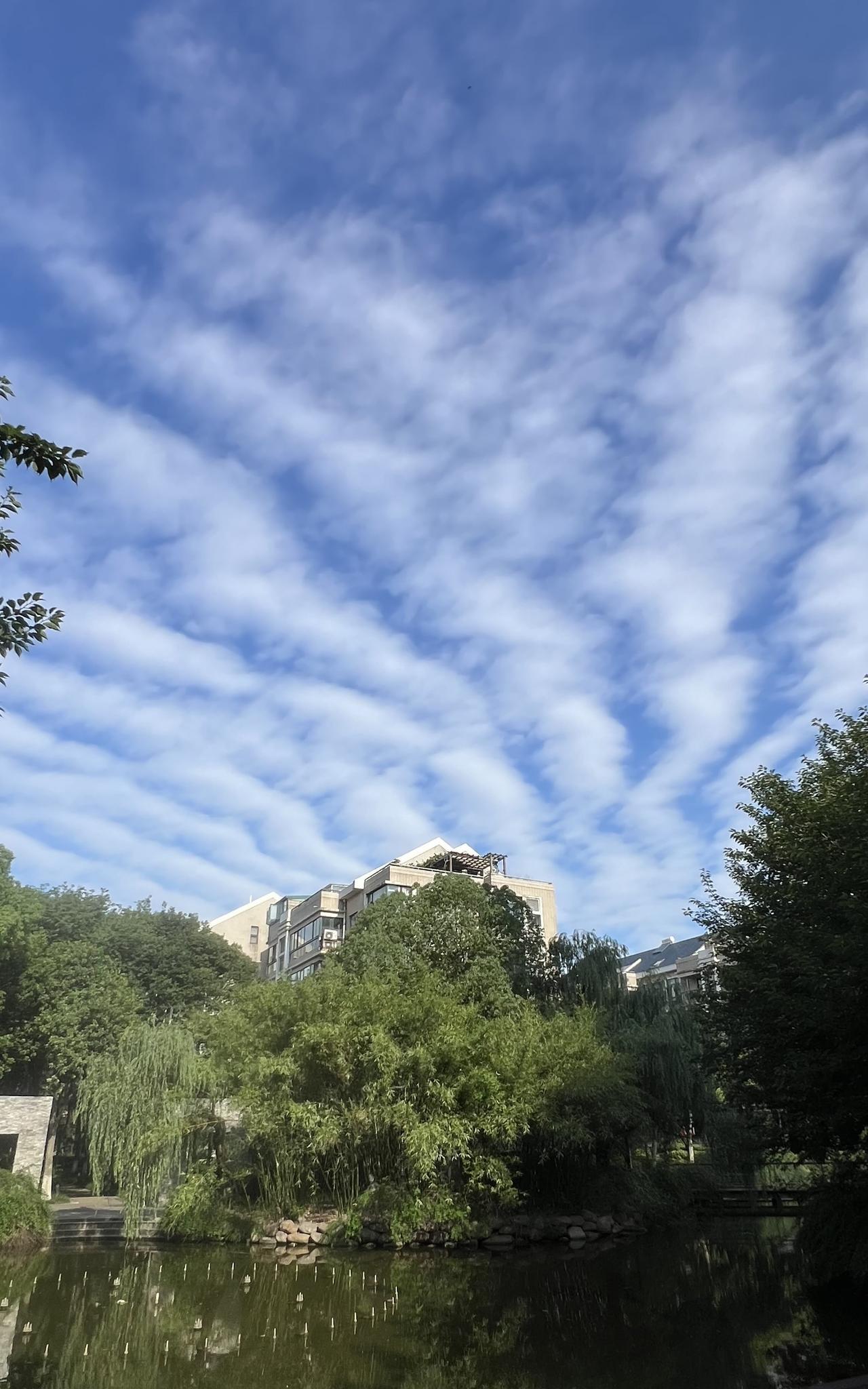 我决定清掉所有社会团体兼职。昨天上午收到了原单位同事的一条微信，让我核对一下现