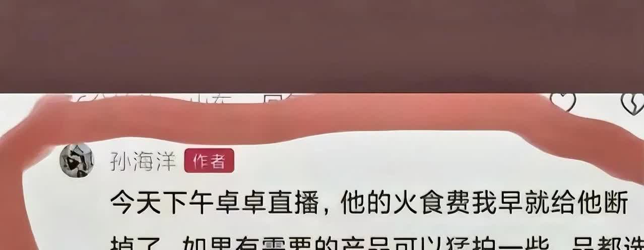 孙海洋说假话成精。把孙海洋扳倒就等于维护了寻亲圈的正义。孙海洋总想当寻亲圈的