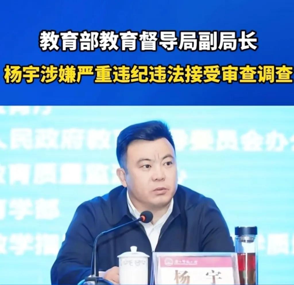 大半夜看到中纪委的通报，一下子就不困了！教