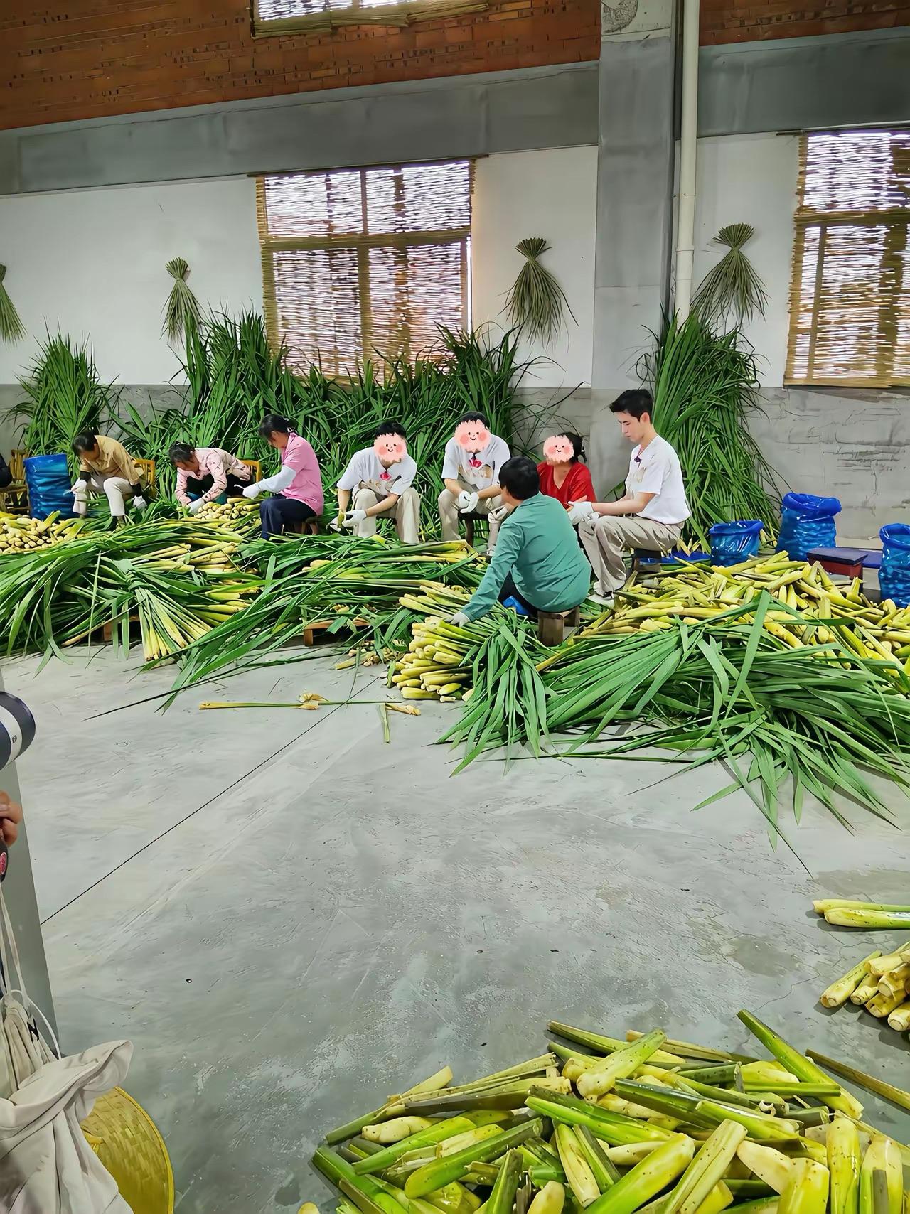 善良却不得善终。3.25