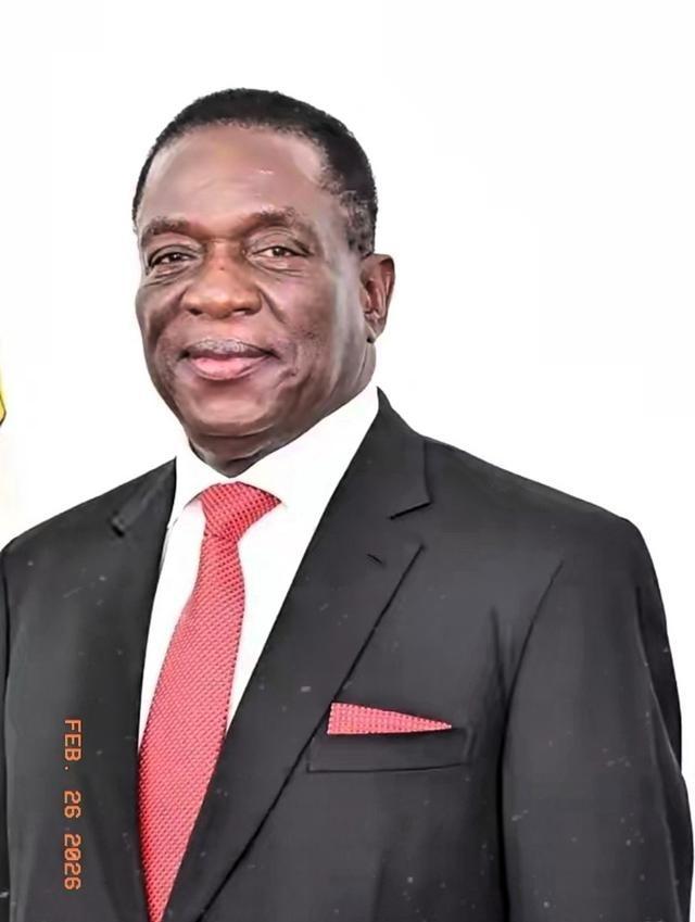 津巴布韦这一纸锂矿出口禁令，直接把国内锂产业链的生死线划死了！没有缓冲，没有过渡