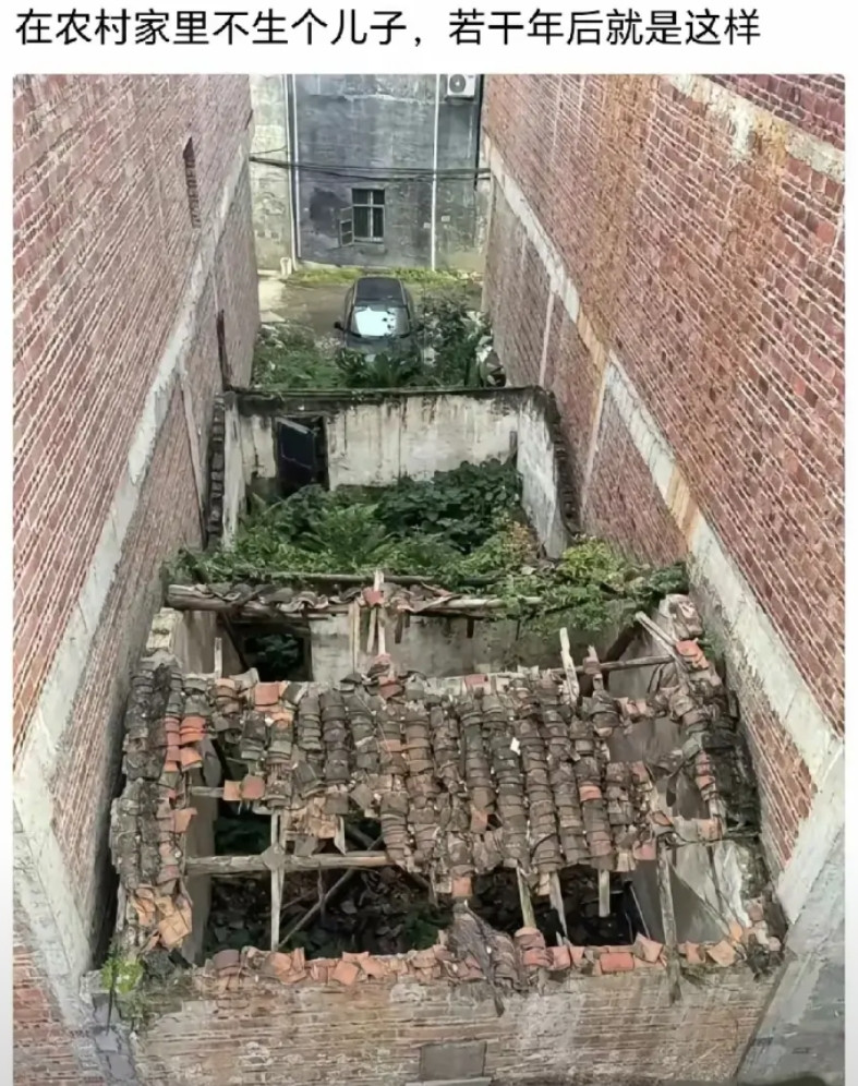 在农村没有儿子就是这样的。