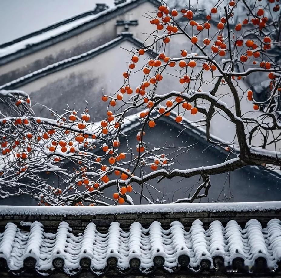 你发现没有，很多老人习惯呆在家里闲门不出，原因在哪里？老人习惯待在家里，闭门不