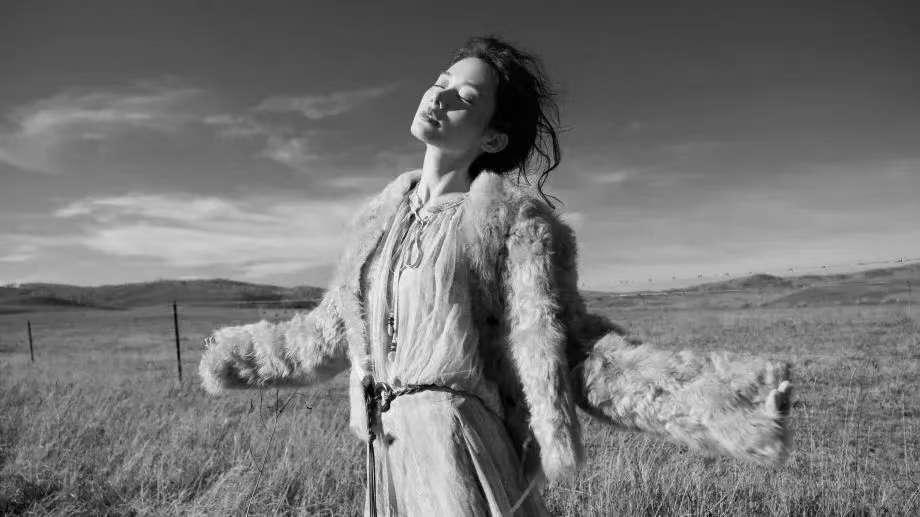 一个东西是否真的属于你在于你得到它的时候是否平静[玫瑰]