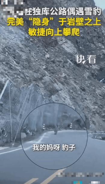 都惊动新华社了！新疆，一男一女驾车行驶在独库公路上，坐在副驾驶的女子无意间朝旁边