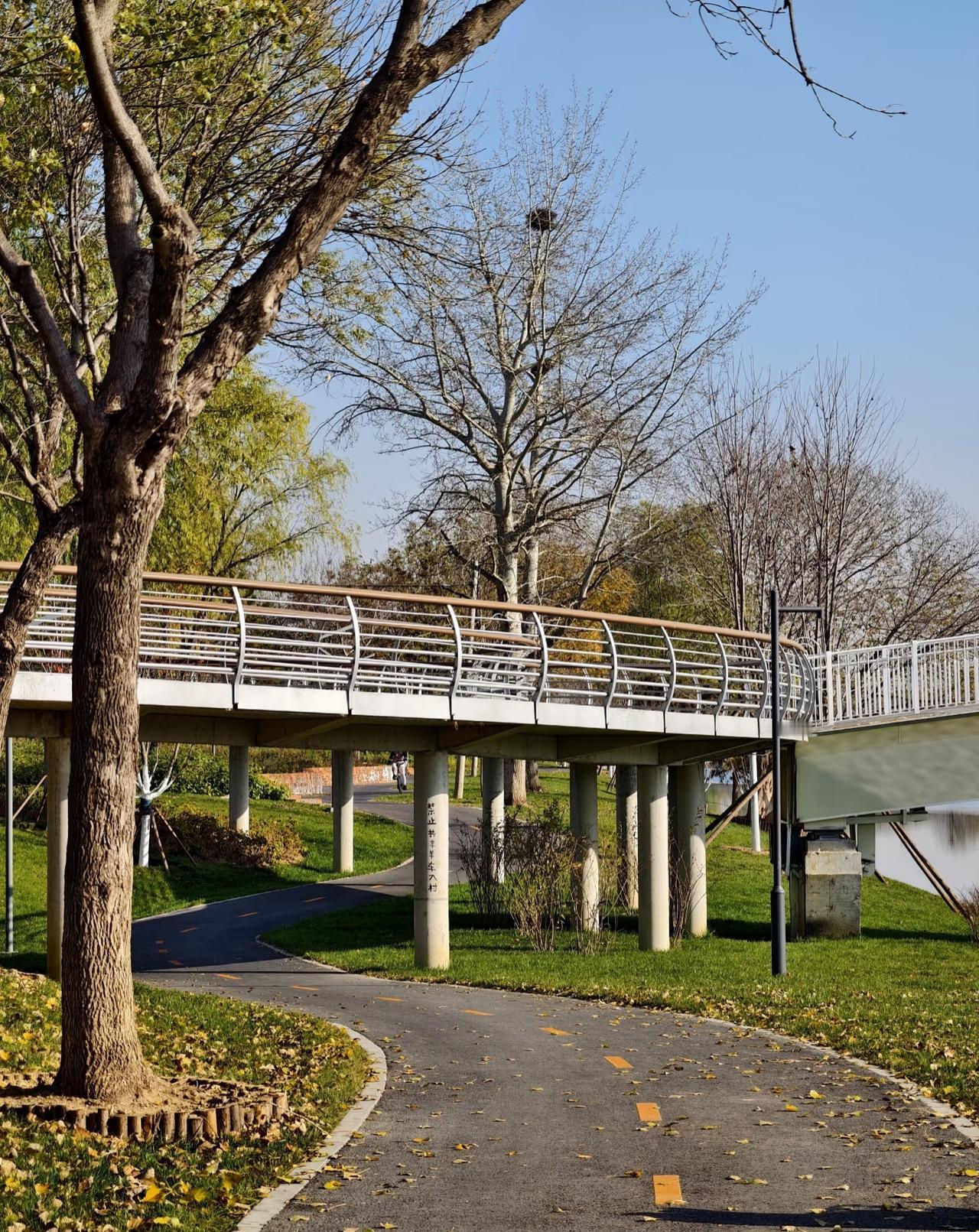 跑步十几年，没有发过朋友圈，没有参加过跑团，没有参与打卡。基本上就是一个人静静的