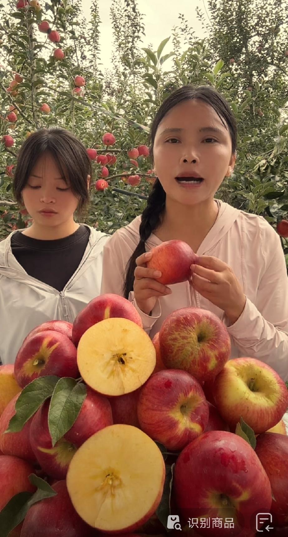 二花带着妹妹小花远赴云南昭通，直播带货当地特色丑苹果。而曾经的二花的黄金搭档大宝