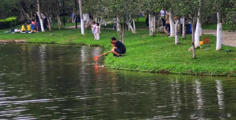 成都兴隆湖泄洪，这可热闹了，好多市民带着网兜去捞鱼。这场景跟赶大集似的，大家都想