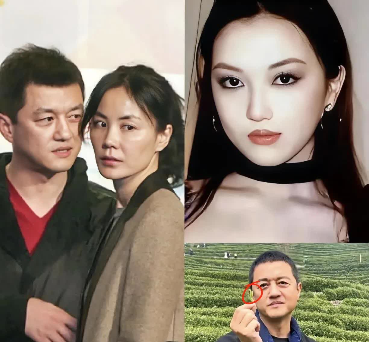 王菲估计得气懵了！怎么也想不到，李嫣突然在社交平台发文喊话大家别骂李