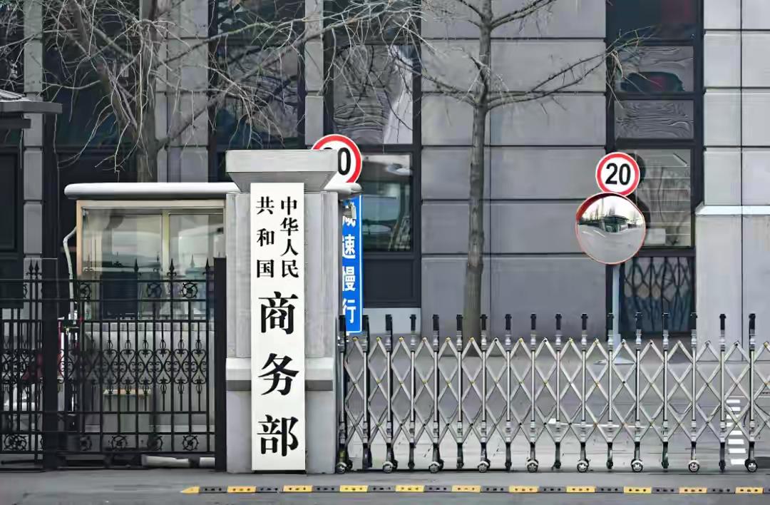 美国拿不到的，巴西竟想白嫖中国！稀土换核心技术，算盘打得太响美国求而不得的