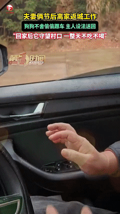 万物皆有灵，近日江西崇仁，夫妻俩过完年离家返回城里工作，只能把养育多年的狗狗留在