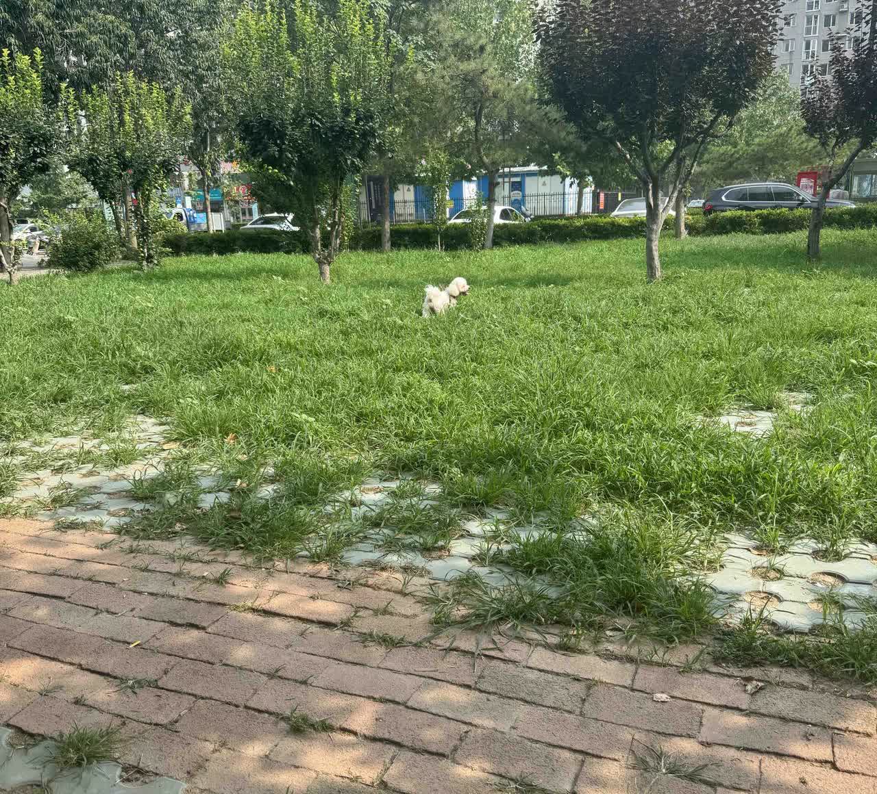 嫁人一定不能嫁，家里公公强势的，他家的儿子一定也是大男子主义，遇事顶不了事，担不