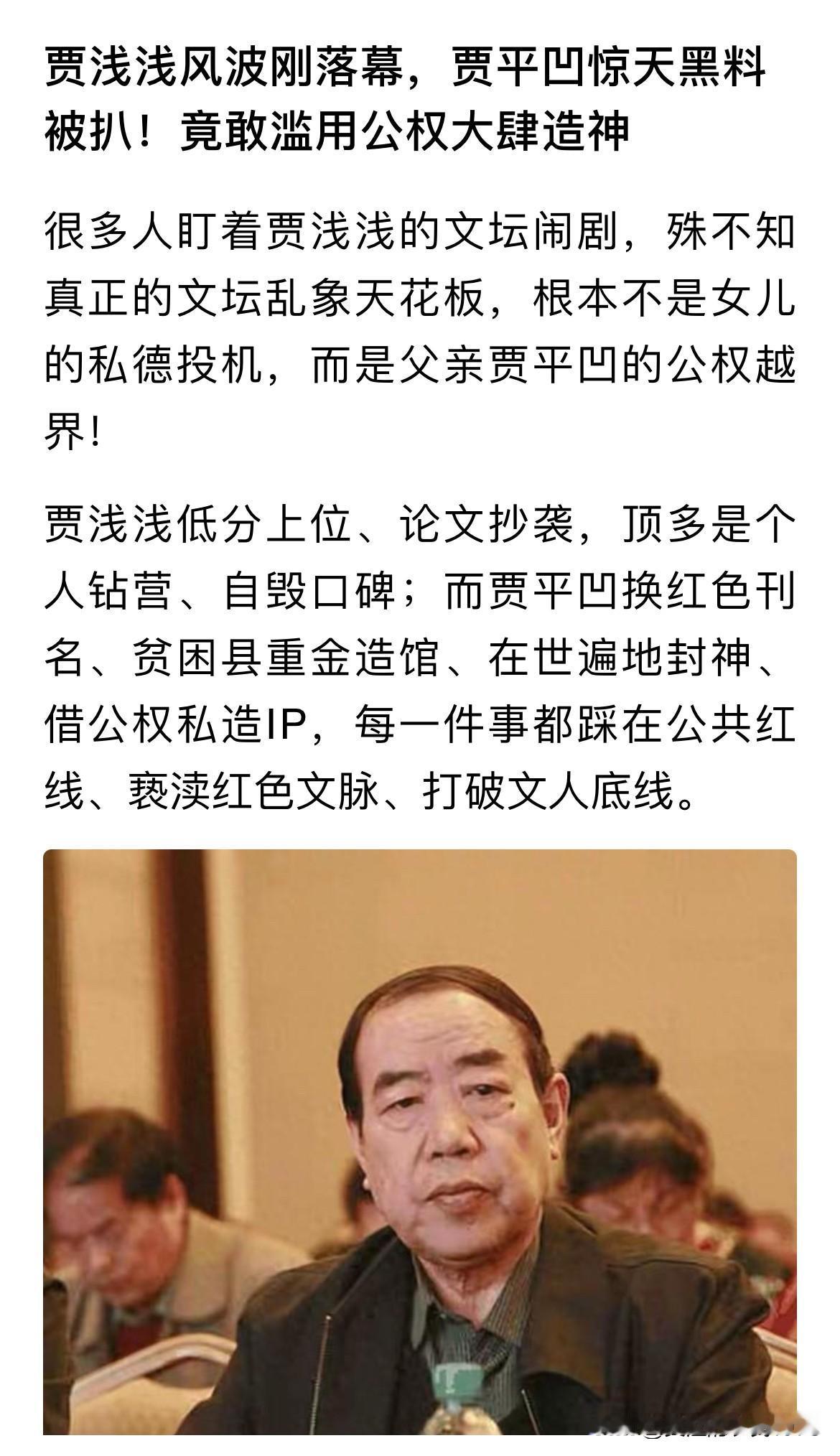 贾家可不是好惹的哦。它可能量巨大，之前我的好多作品只要提到贾浅浅三个字，就会审核